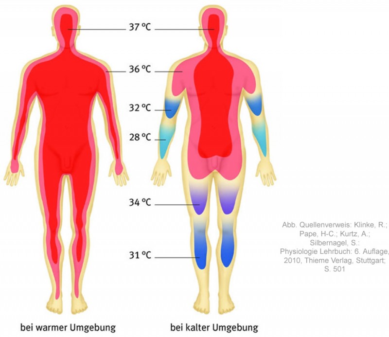infrarotstrahlung_koerper_800x800